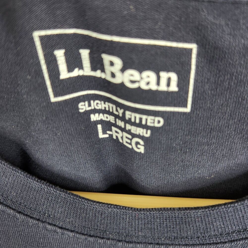 L.L. Bean Mens Slightly Fitted Short Sleeve Rainbow Mountain Graphic Tee L Reg - Picture 4 of 6